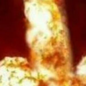 Meet your Posher, Terrance